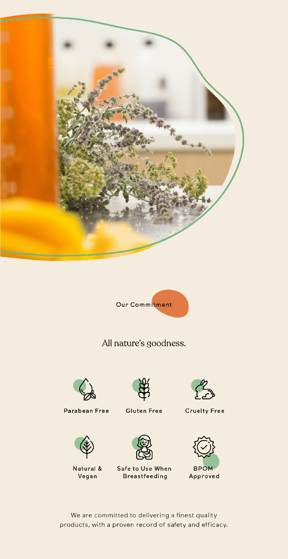 Oleca Organics Natural Slimming Oil